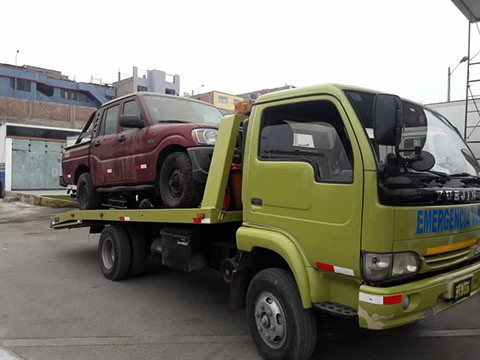 Geminis Gruas 011